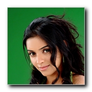Asin-Gallery